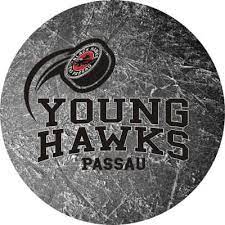 Young%20hawks
