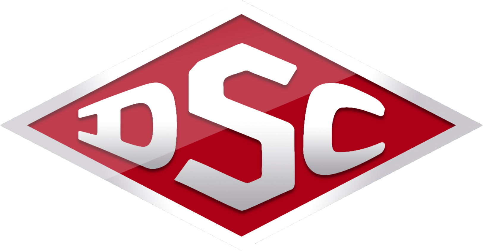 Dsc_logo_3d