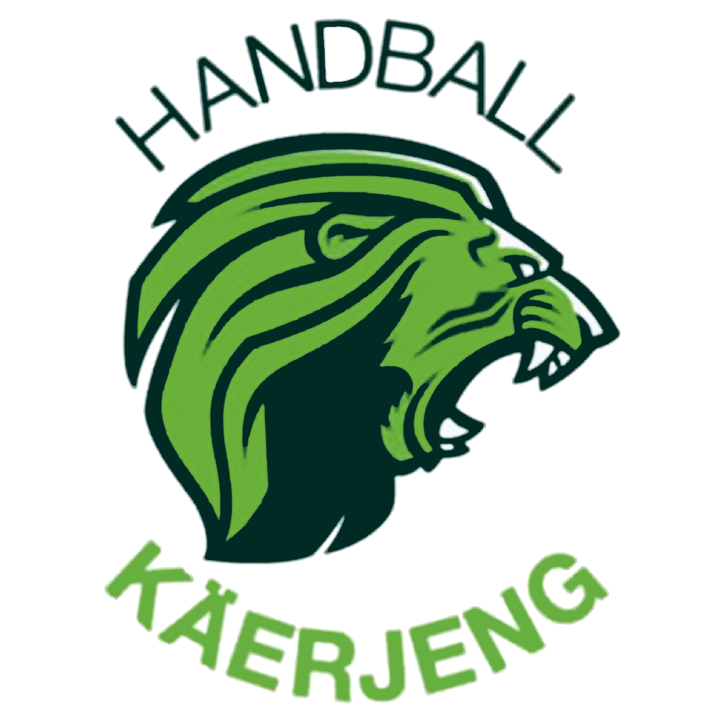 Logo-hbk-2017