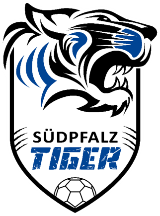 Logo-st