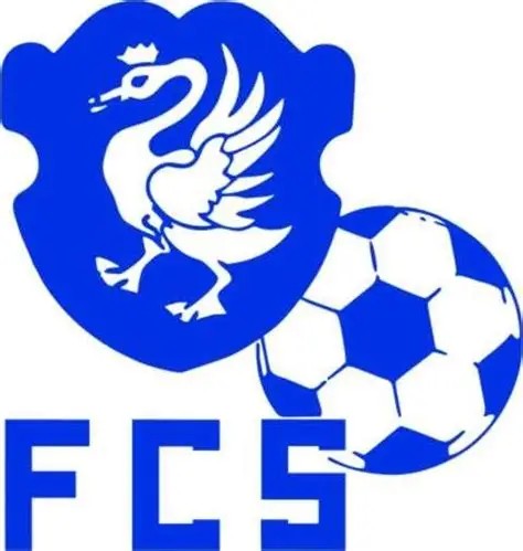Fc%20schwanden